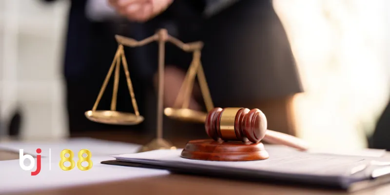 Mô tả chi tiết về miễn trừ trách nhiệm